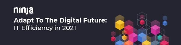 Adapt to the Digital Future: IT Efficiency in 2021 - small banner