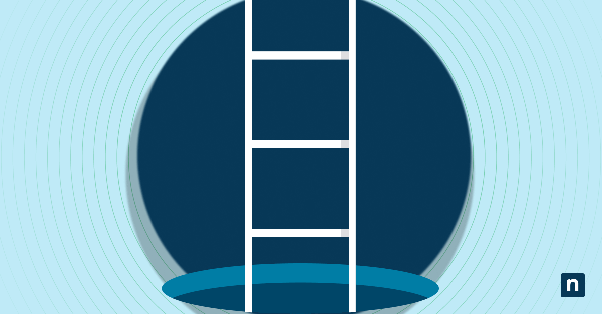 An image of a ladder