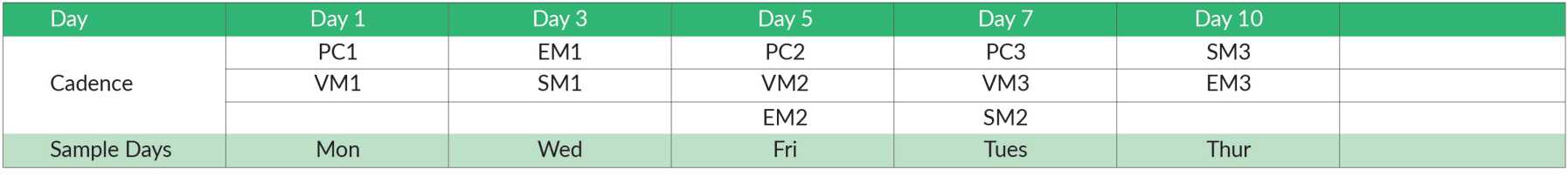 msp sales cadence example 1