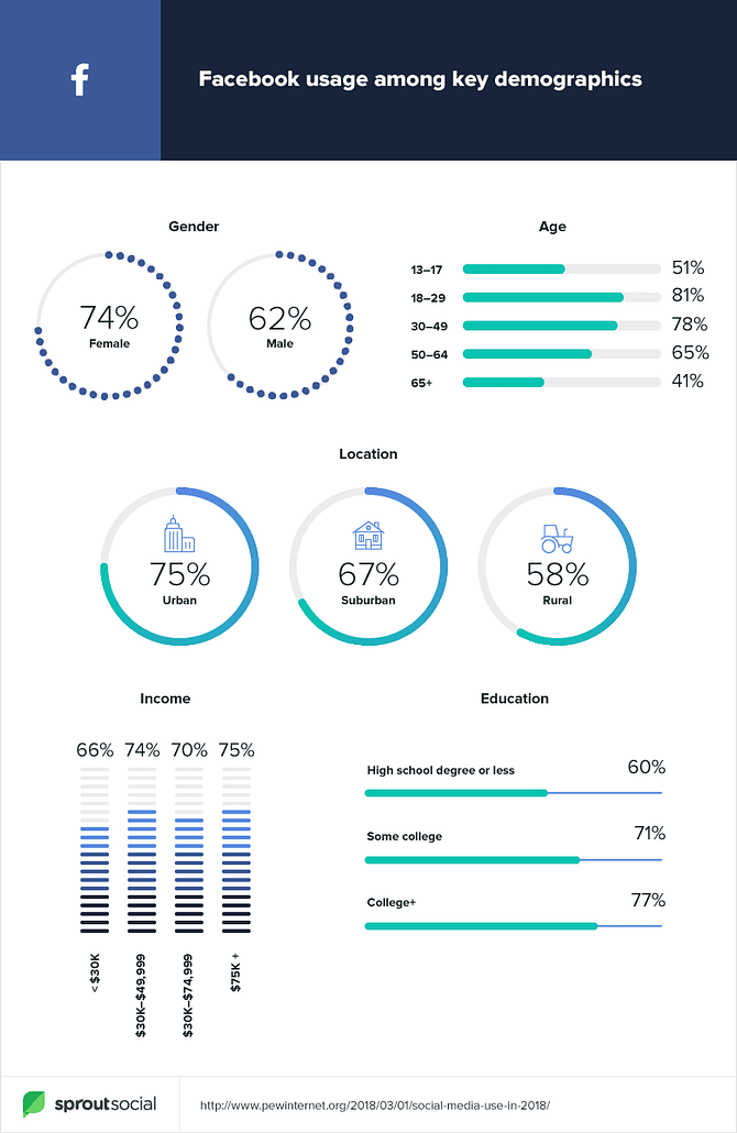 Facebook demographics