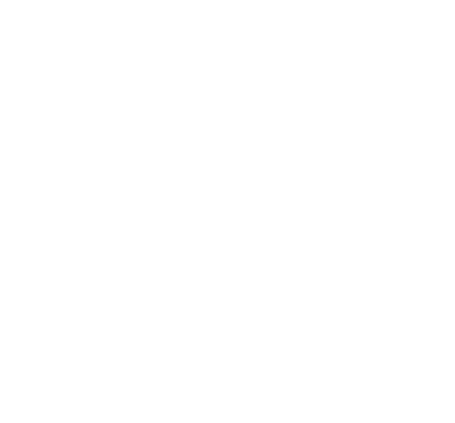 King's Trust logo white