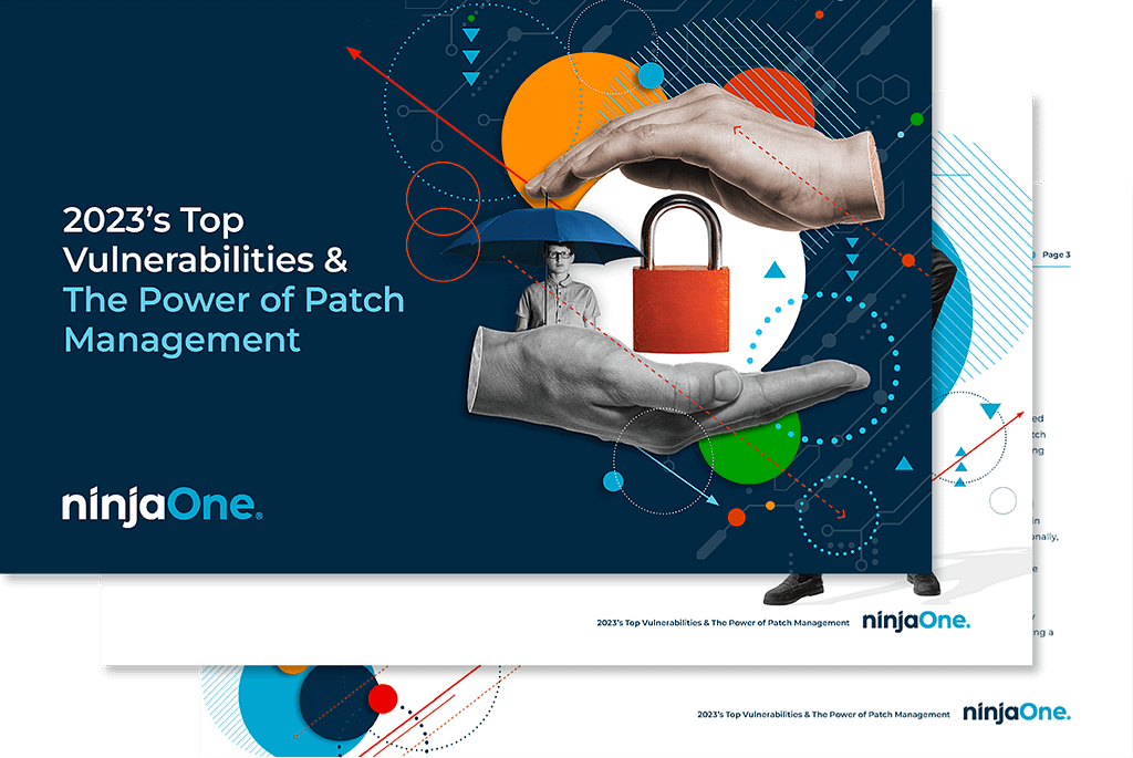 N1-0856 2023's Top Vulnerabilities - 1138 x XXX (landing page)