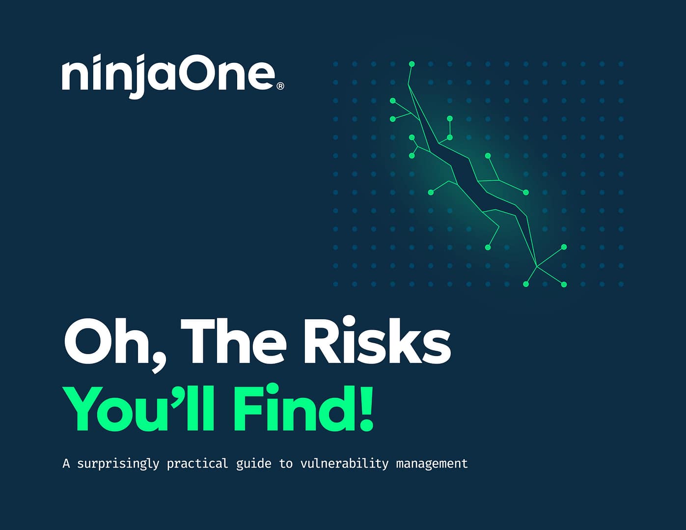 N1-1804 Oh, The Risks You’ll Find! Vulnerability Management guide v2