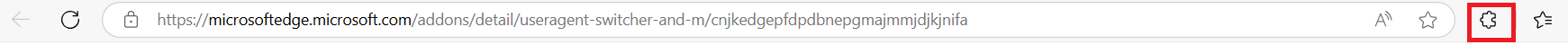 Extension icon on the address bar