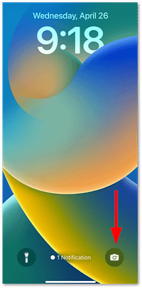 iphone home screen.png