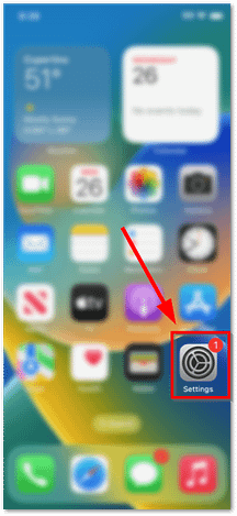 iphone settings.png