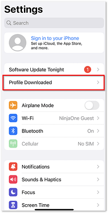 iphone settings_profile downloaded.png