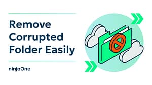 How to Delete a Corrupted Folder in Windows 11_Light