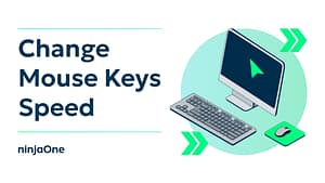 How to Change the Mouse Keys Speed Using Ctrl and Shift Keys in Windows 11_Light