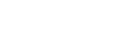 INS Systems white logo