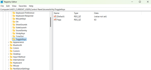ToggleKeys path for registry editor