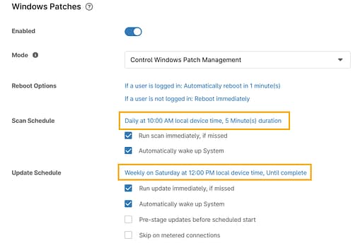 9.0_PatchStagger_ScheduleOptions.png