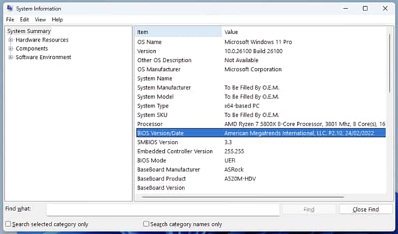 System Information Window showing BIOS Version/Date