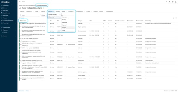 Patch Auditing Logs