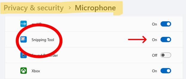 Impostazioni del microfono per lo strumento di cattura