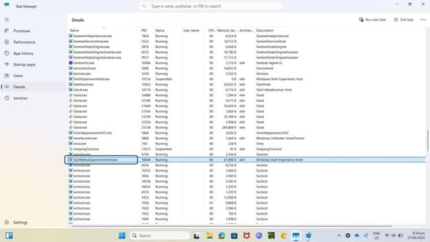List of running processes in Task Manager window
