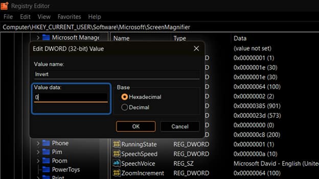 Look for a DWORD (32-bit) value named Invert and set the value to 0 to enable Magnifier Color inversion