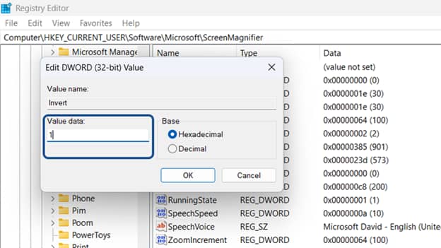Look for a DWORD (32-bit) value named Invert and set the value to 1 to enable Magnifier Color inversion