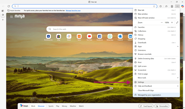 Microsoft Edge settings