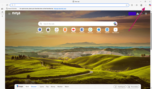 Three-dot menu on Microsoft Edge