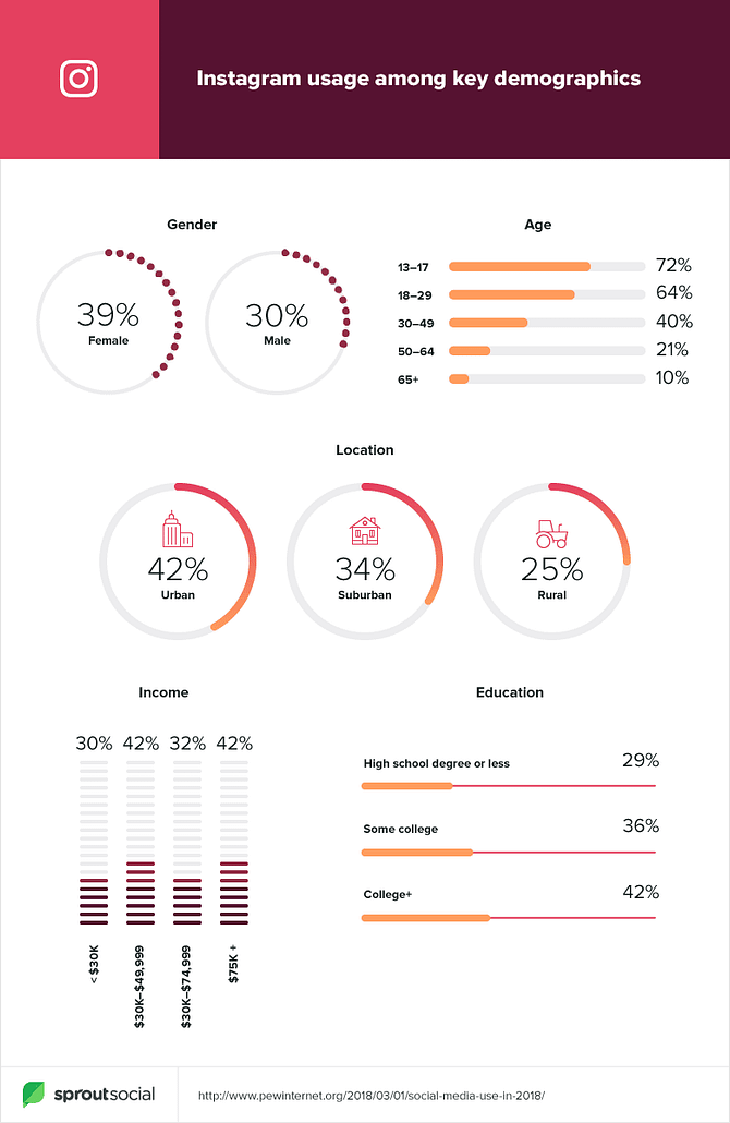 Instagram demographics