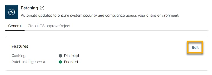 patching_features_edit.png