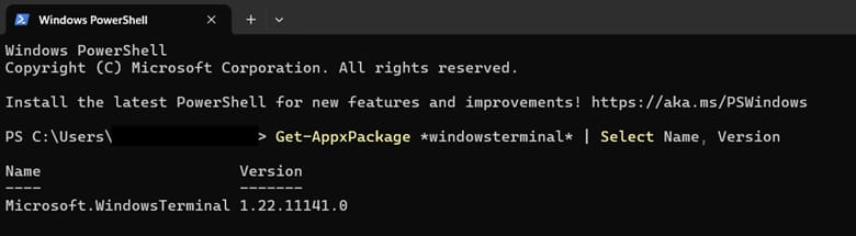 Verify Terminal version 