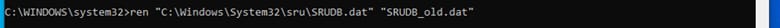 Command to rename usage statistics file