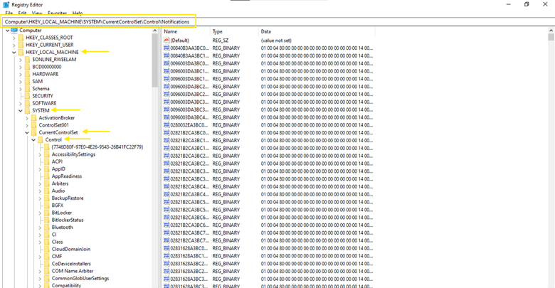 Registry Editor path