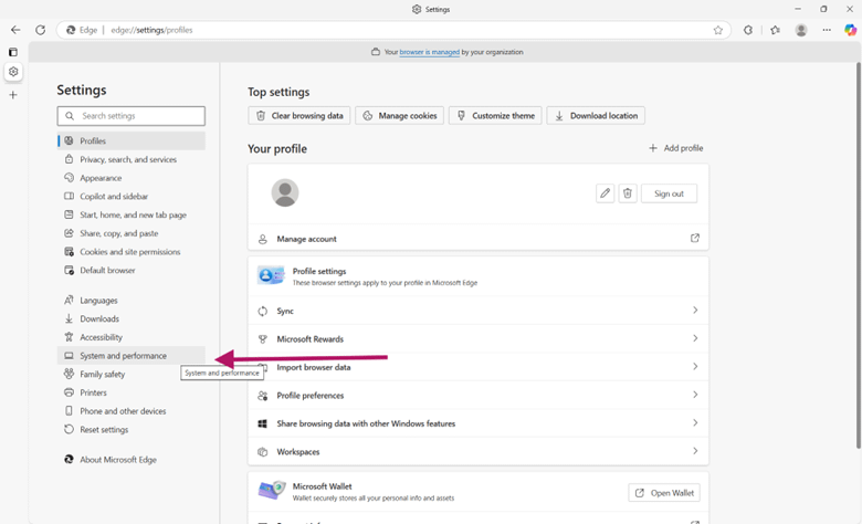 System performance option in settings