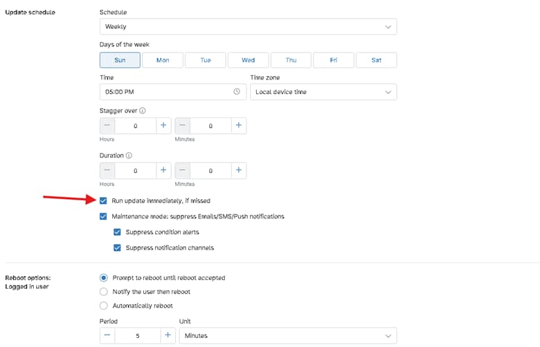 Run update immediately option