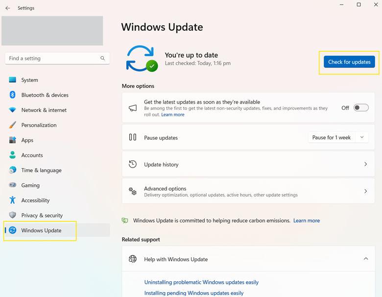 Settings Check Windows Update