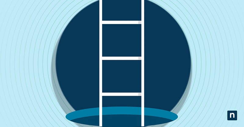 An image of a ladder