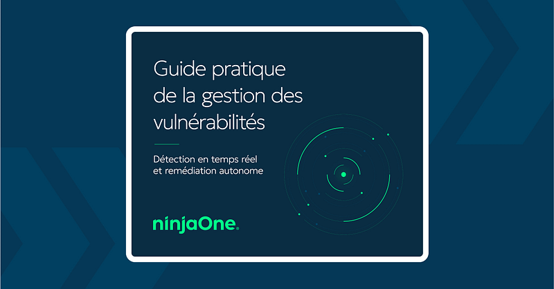 N1-1804 Essential Guide to Vulnerability Management - LP images FR