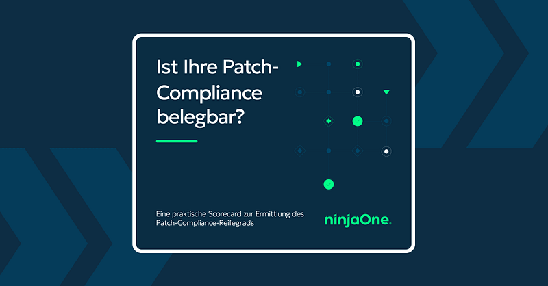 N1-2003 10 Essential Metrics for Patch Management Success - LP images DE