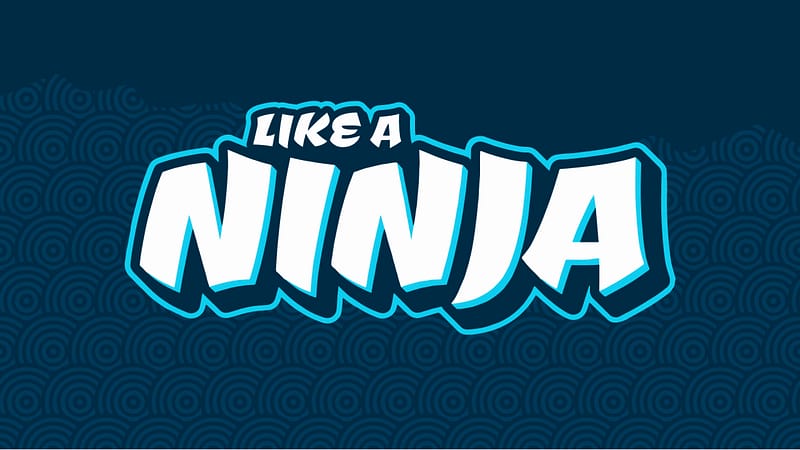 How to provide seamless remote support like a Ninja