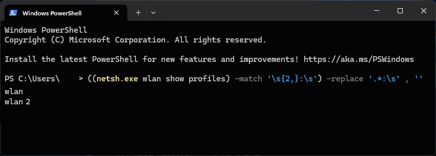 netsh wlan show profiles command