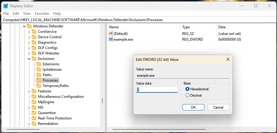 Process exclusions