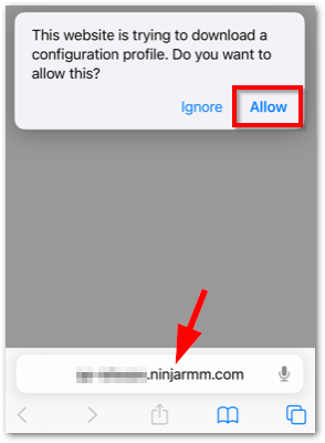 Verify that your NinjaOne environment displays in the URL field.