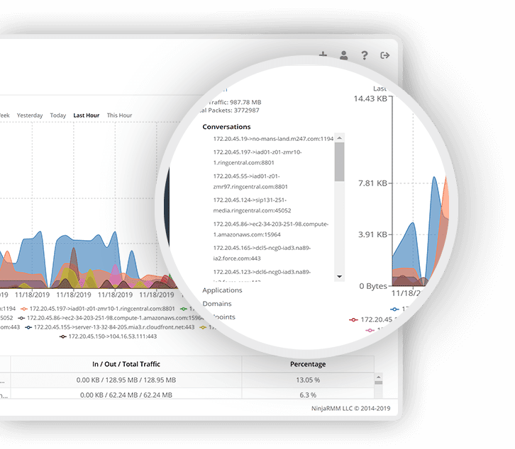 NinjaRMM Netflow zoom print screen