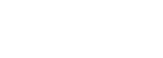 Stellar white logo