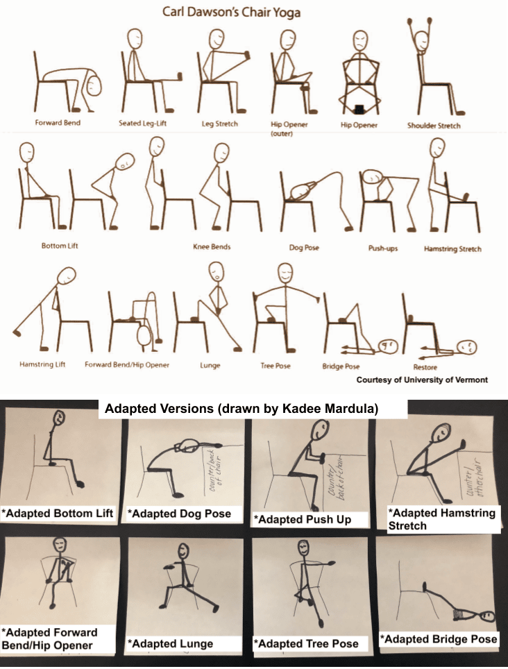 Silla-de-yoga-de-Carl-Dawsons-y-versiones-adaptadas