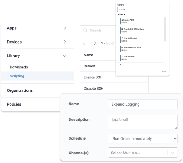 screenshots of fields showing script deployment