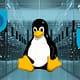 Securing Linux Servers blog image